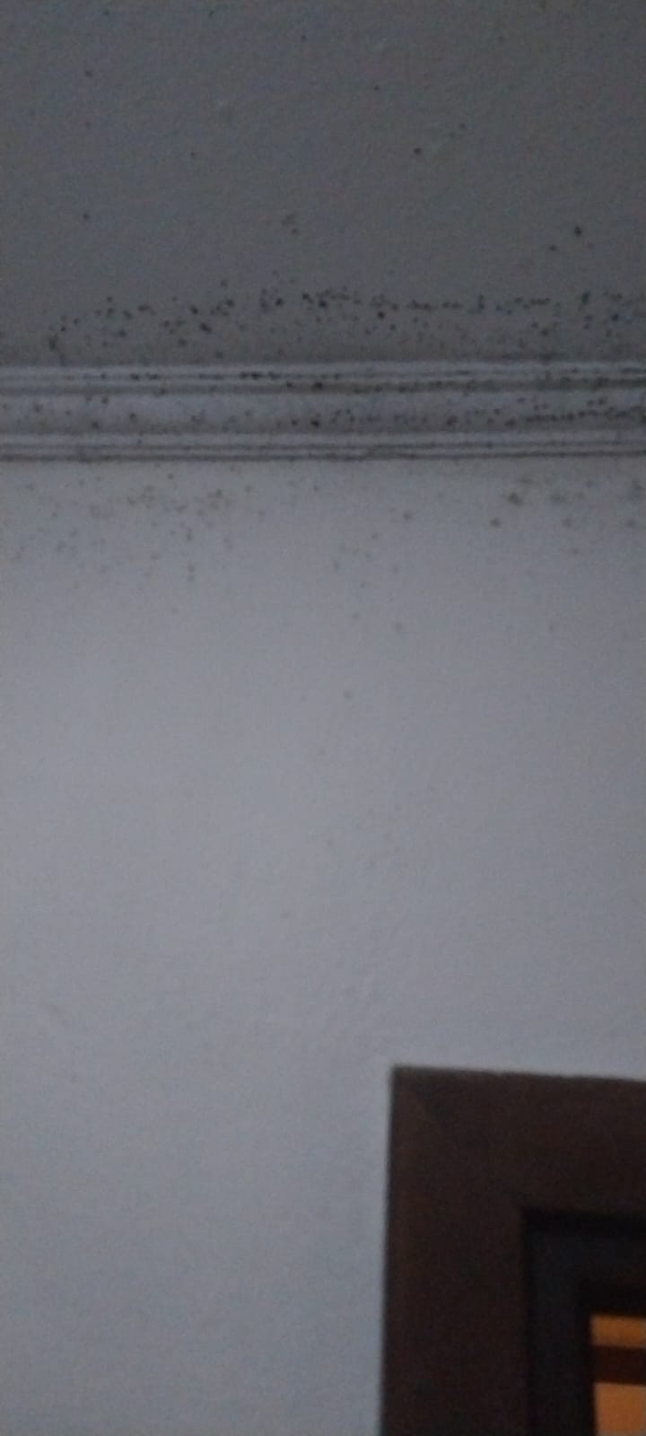 Deep Cleaning